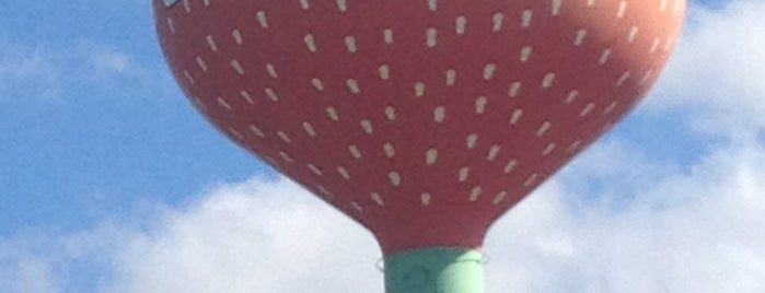 Plant City Strawberry Water Tower is one of Favorite places.