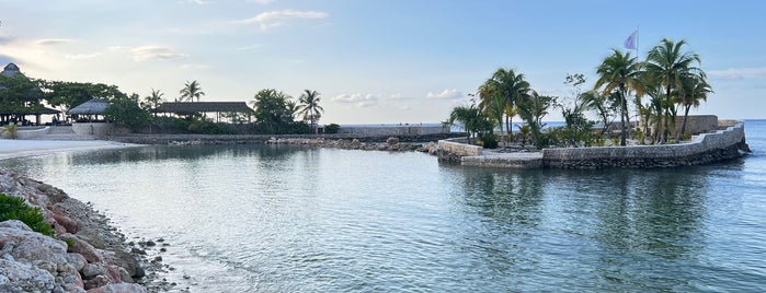 Goldeneye Resort is one of The Dog's Bollocks' Jamaica Jammin'.