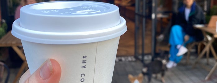 Shy Coffee Co. is one of 🇨🇦 (Toronto • Cafés).