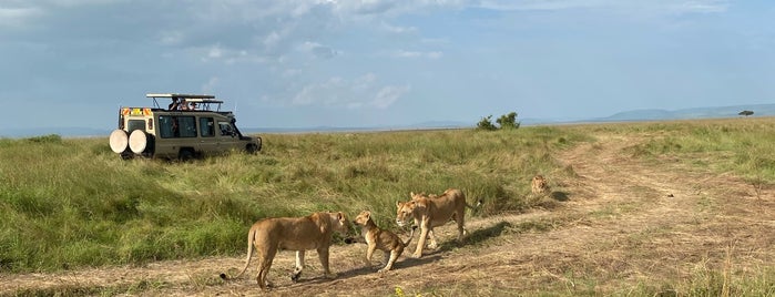 Masai Mara National Reserve is one of Kenya.