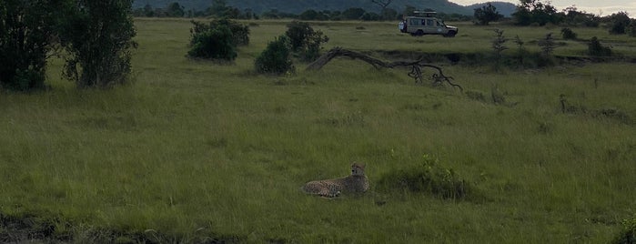 Masai Mara National Reserve is one of Kenya.