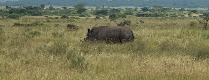 Nairobi National Park is one of 2018 Safari Adventure.