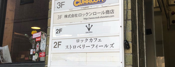 GUHROOVY is one of 「CDショップ」をピックアップ！.