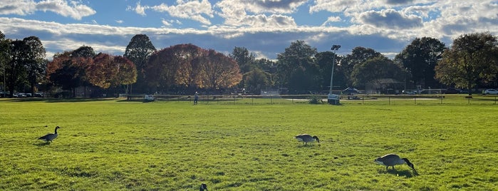 Joe Moakley Park is one of Favorite Southie Places.