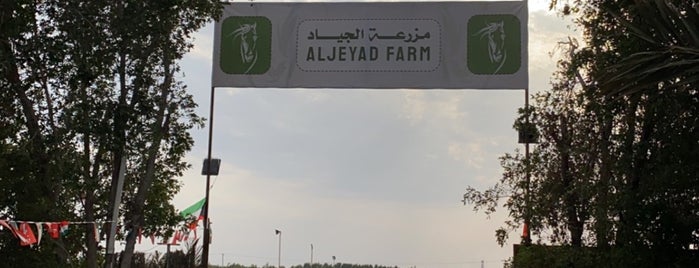 مزرعة الجياد is one of Activities.