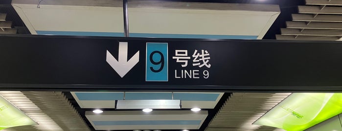 Century Avenue Metro Station is one of 上海轨道交通6号线 | Shanghai Metro Line 6.
