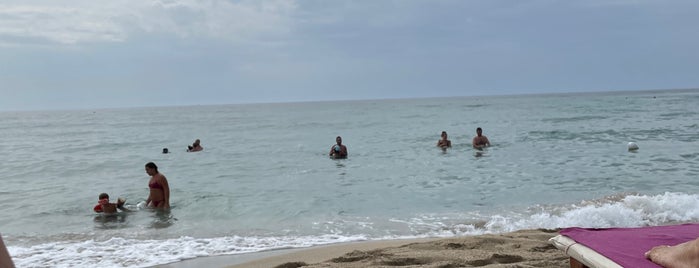 Lido Samanà is one of Puglia, Salento e Gargano.