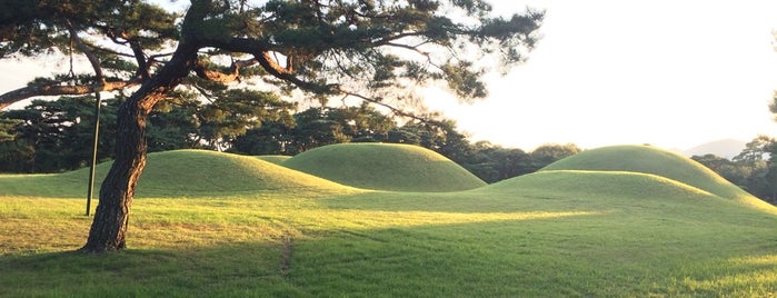 경주 오릉 is one of 경주 / 慶州 / Gyeongju.