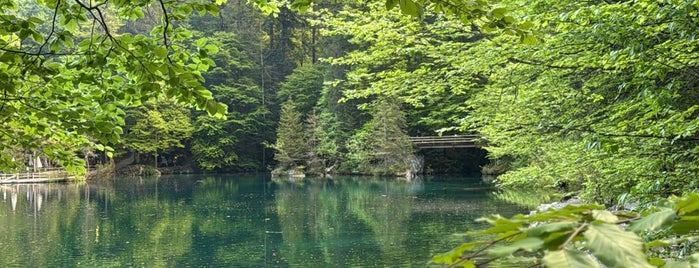 Blausee is one of summer 2016.