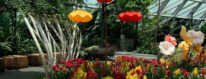 Canopy Park is one of Micheenli Guide: Rainy day activities in Singapore.