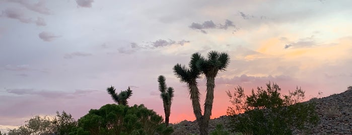 Bootleg Canyon Trails is one of Las Vegas.