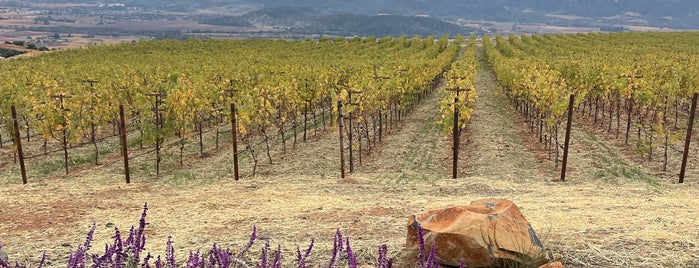 Ovid Vineyard is one of Napa/Sonoma Wineries & etc..