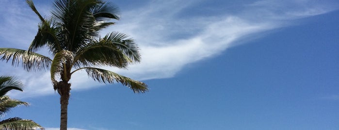 Hollywood Beach is one of Florida.