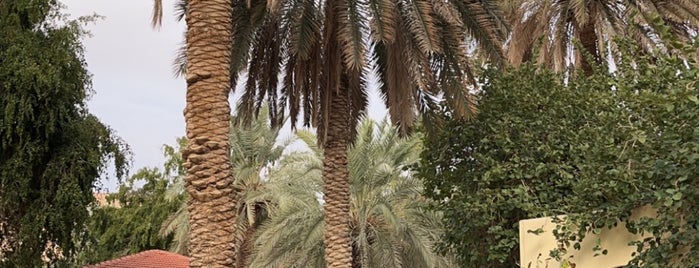 مزرعة الربيعة والنصار is one of Tempat yang Disukai Queen.