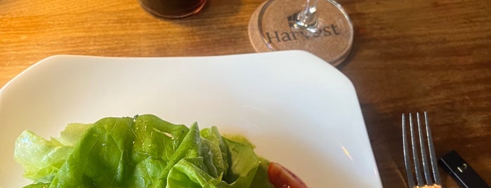 Harvest is one of CT Food to Try (casual).