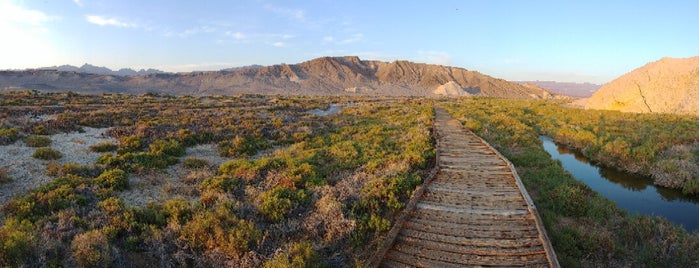 Salt Creek is one of Lugares favoritos de Rachel.