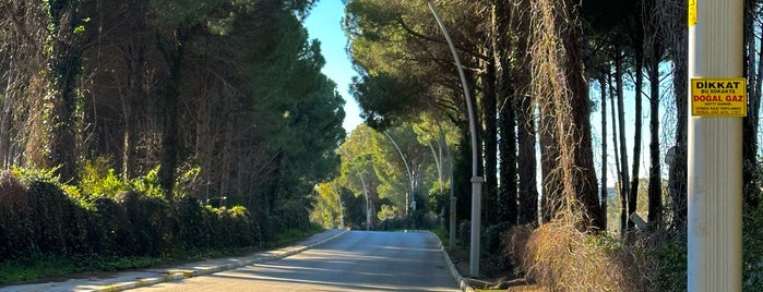 Belek is one of สถานที่ที่ Андрей ถูกใจ.