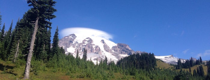 Mount Rainier National Park is one of Tempat yang Disukai R B.