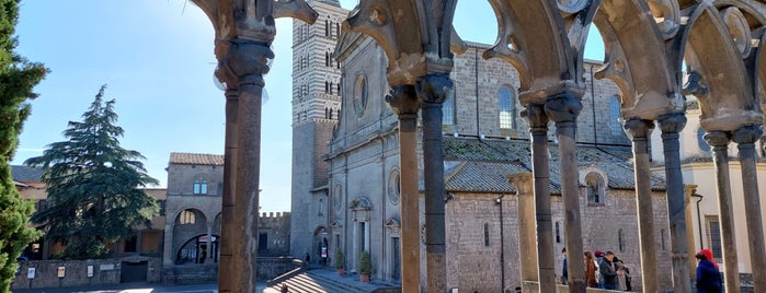 Palazzo Dei Papi is one of Middle Italy 2018.