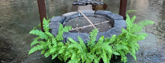 Kona Koi Pond is one of Oahu, Hawaii.