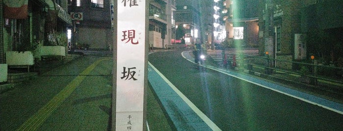 権現坂 is one of 東京の坂２.