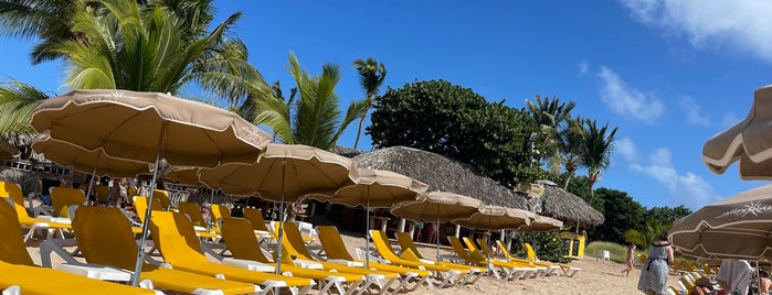 Yellow Beach Bar is one of Lugares favoritos de Certainly.