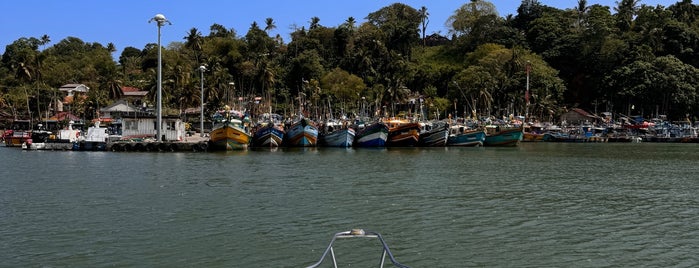 Mirissa Fisheries Harbour is one of Sri Lanka.