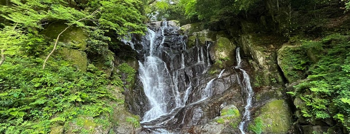 Shiraito Falls is one of Tokyo to do.