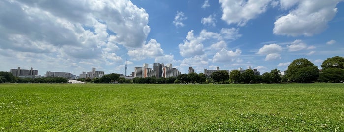 Ojima Komatsugawa Park is one of Garden😍.
