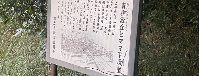 ママ下湧水公園 is one of 東京の名湧水（多摩）.
