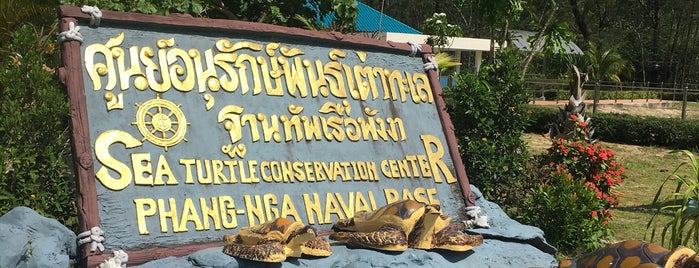 Sea Turtle Conservation Centre is one of Cheaper than Hotel.