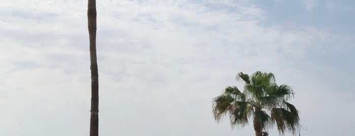 Banana Island Beach is one of Doha.