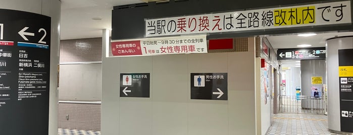 Tamagawa Station is one of 西武池袋・狭山線-西武有楽町線-副都心線-東急東横線-みなとみらい線.