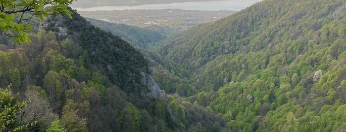 Ayrı Gezegen Cam Teras is one of Sakarya.