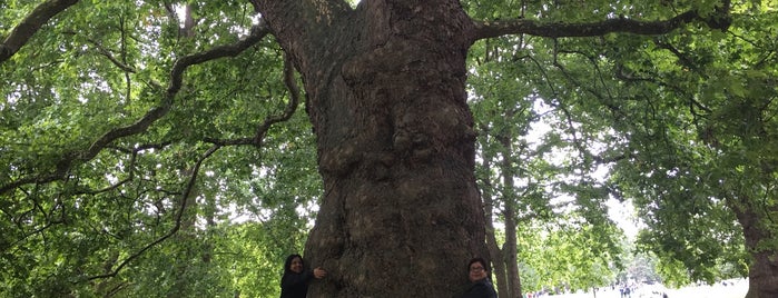 Green Park is one of สถานที่ที่ Gio ถูกใจ.