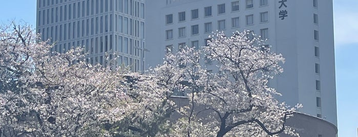 Sophia University is one of 東京方面.