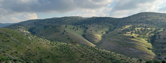 Jordanie is one of Lieux qui ont plu à Hisham.