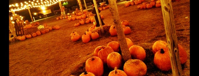 Hall Pumpkin Farm is one of Terri : понравившиеся места.