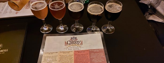 Gilroy's Brewery is one of Fun things.