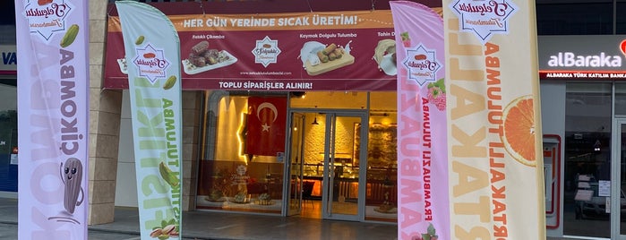 Selçuklu Tulumbacısı Ankara Merkez Şube is one of Cayyolu.