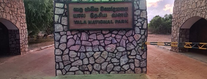 Yala National Park is one of Srilanka.