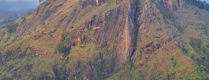 Little Adam's Peak is one of Muu maailma.