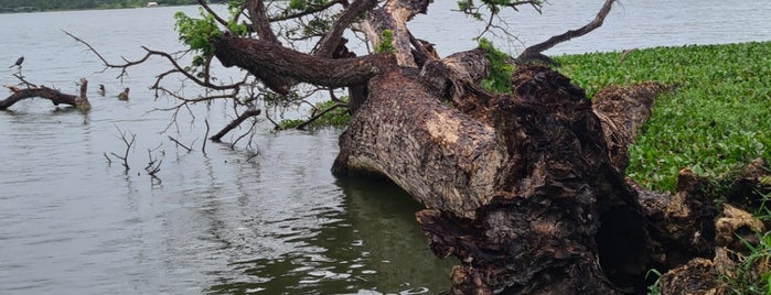 Thissamaharama Lake is one of Sri Lanca.