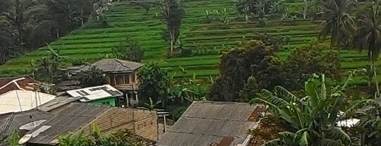 Saung Sobat (Cabang Cianjur) is one of puncak.