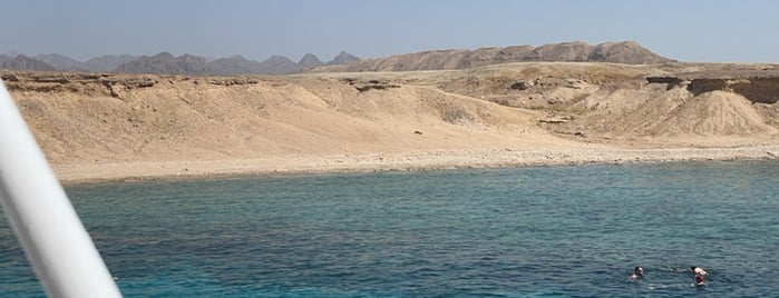 Ras Mohammed National Park is one of Egypt.