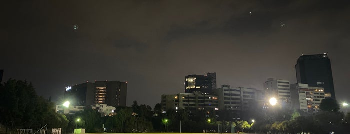 Pista de atletismo Villa Olímpica is one of PARQUE.