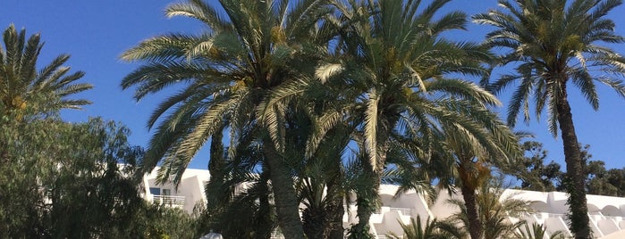 Club Med Djerba La Douce is one of Club Med Resorts Worldwide.
