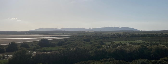 Laguna de Fuente de Piedra is one of sitios por visitar.