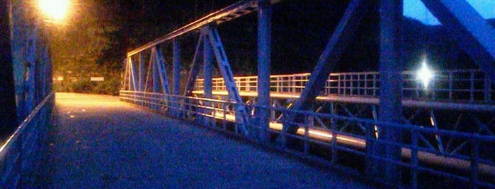 天池橋 is one of 犀川[おとこ川](Sai River).