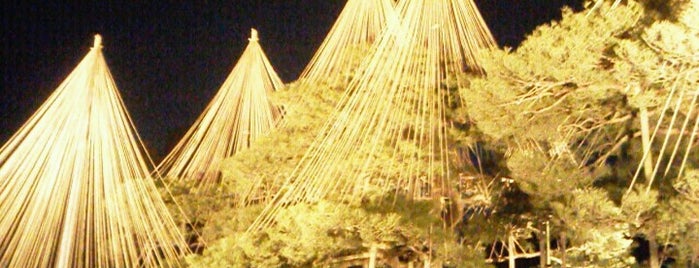 Karasakinomatsu Pine is one of 兼六園(Kenroku-en Garden).